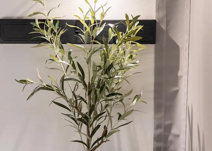 Monte Smith Luxury *